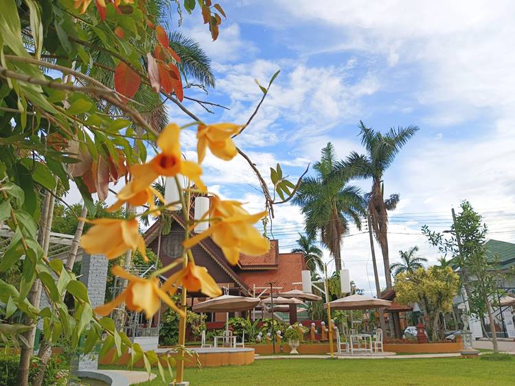 เชียงรายที่พักน้องหมาพักได้
