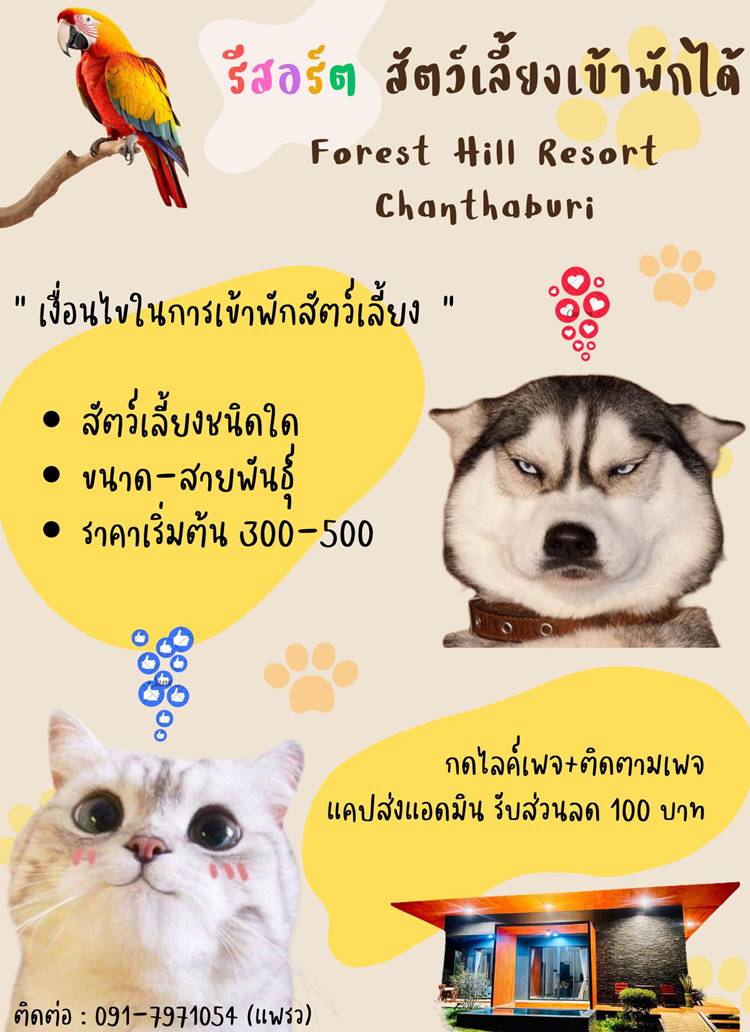 จันทบุรีน้องหมาพักได้