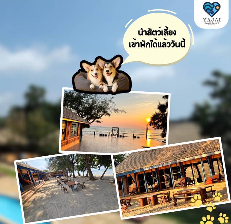 ที่พักโซนริมทะเลจันทบุรีน้องหมาพักได้