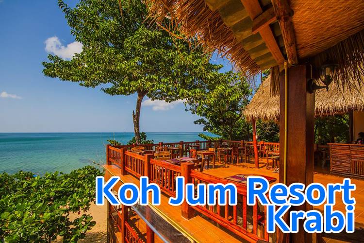 ที่พักเกาะจำกระบี่น้องหมาพักได้