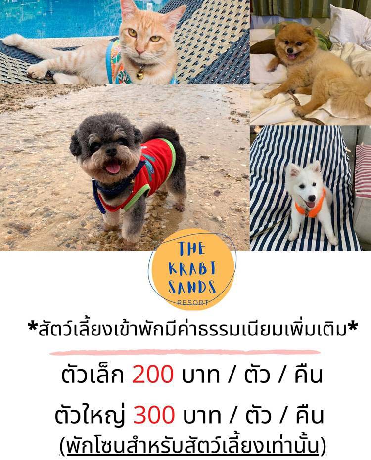 ที่พักกระบี่ติดทะเลน้องหมาพักได้