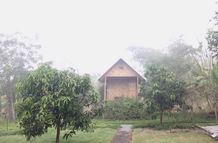 ที่พักไทรโยคเมืองกาญน้องหมาพักได้