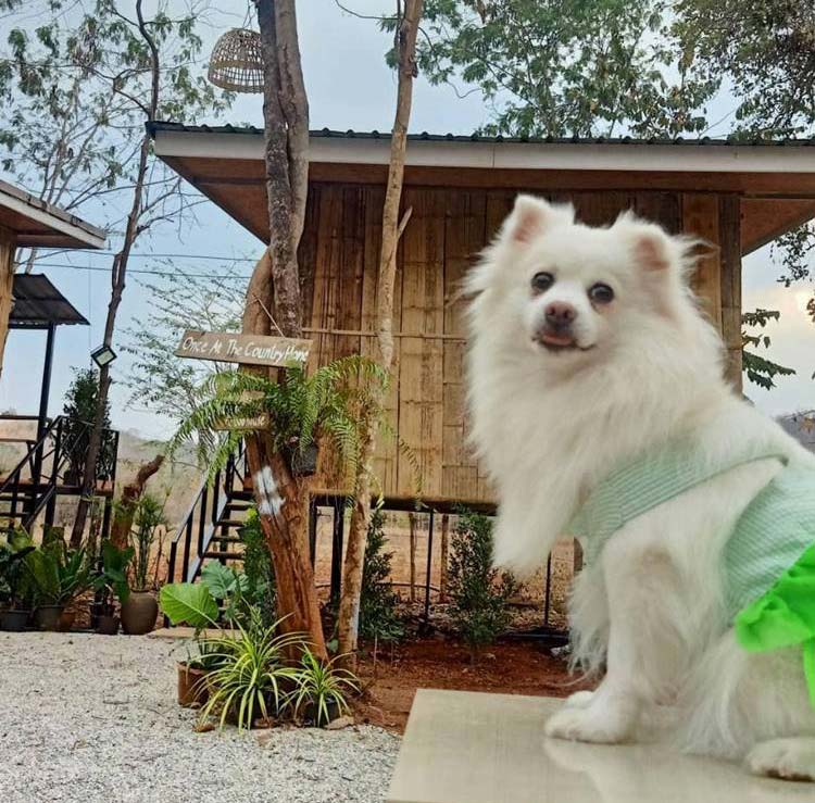 ที่พักศรีสวัสดิ์ เมืองกาญหมาพักได้