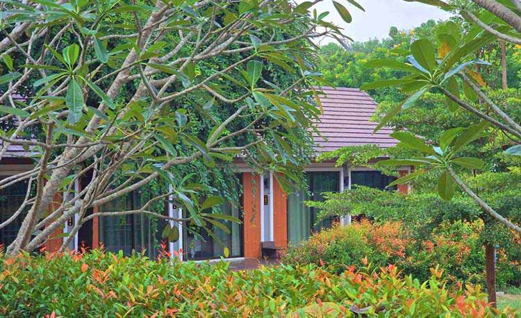 ที่พักลำปางน้องหมาพักได้
