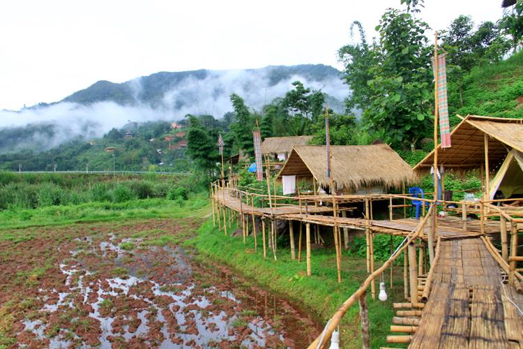 ที่พักบ่อเกลือน่านน้องหมาพักได้