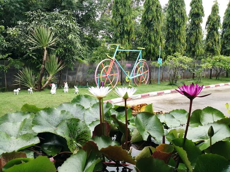 ที่พักหนองบัวลำภูหมาพักได้