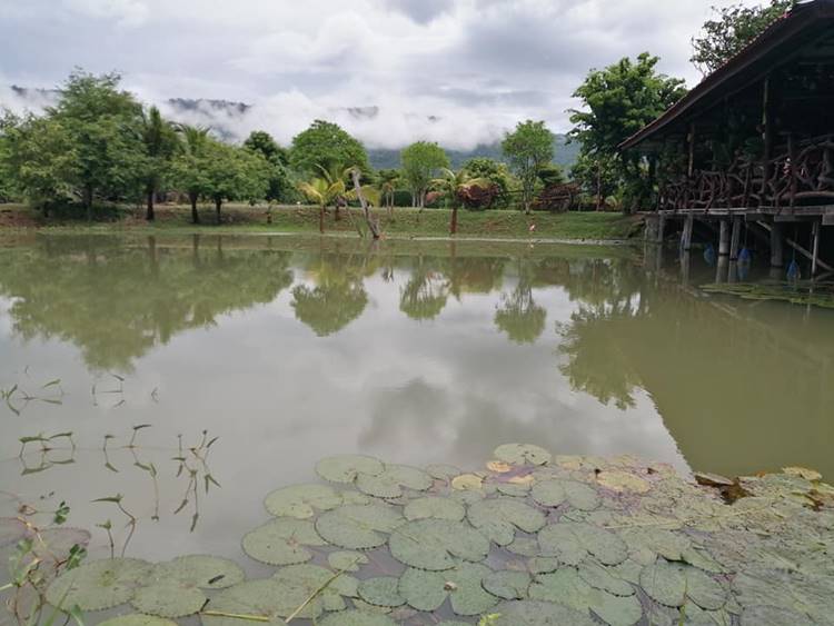 ที่พักหนองบัวลำภูหมาพักได้