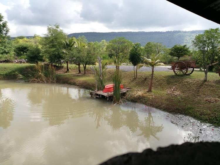 ที่พักหนองบัวลำภูหมาพักได้