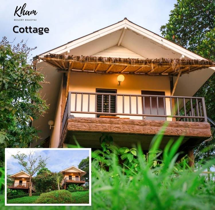 ที่พักเขาใหญ่น้องหมาพักได้