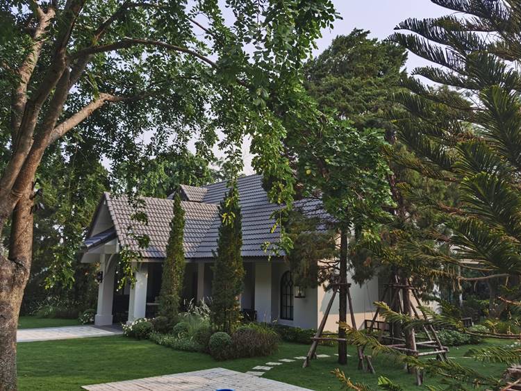 ที่พักเขาใหญ่น้องหมาพักได้