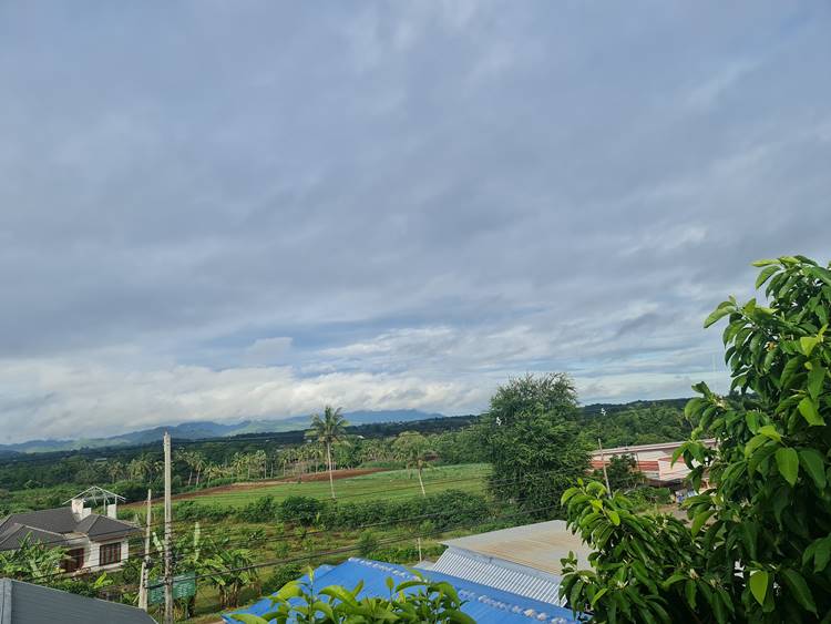 โรงแรมปากช่องน้องหมาพักได้
