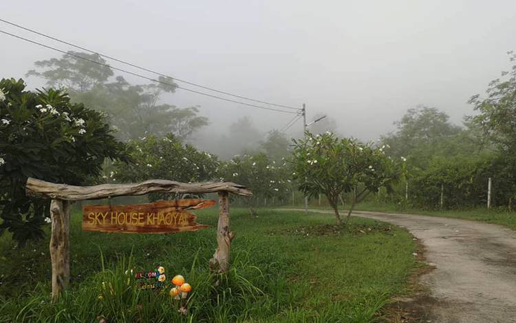 ที่พักเขาใหญ่น้องหมาพักได้