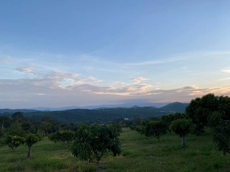 ที่พักเขาใหญ่น้องหมาพักได้