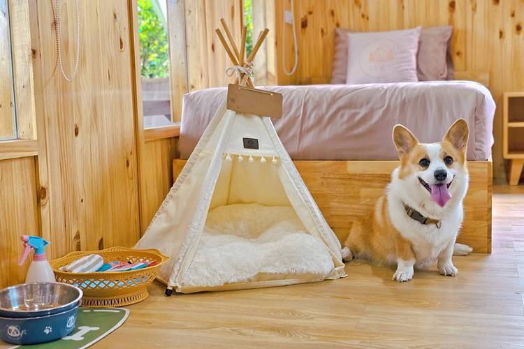ที่พักเขาใหญ่น้องหมาพักได้