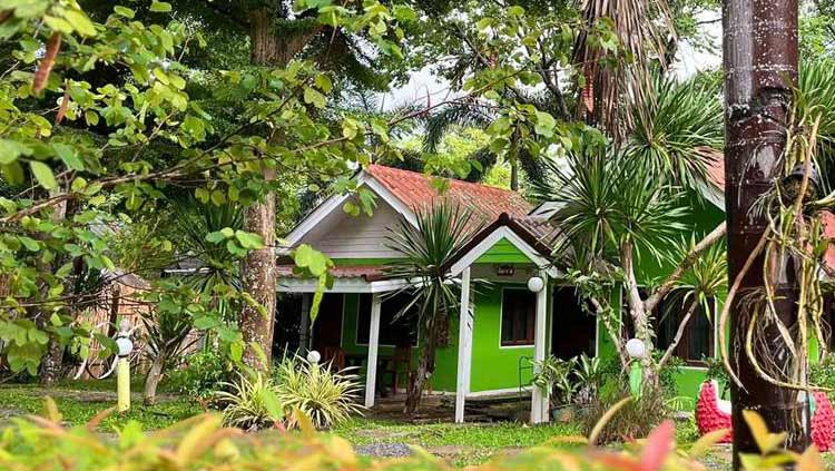 ที่พักเขาใหญ่น้องหมาพักได้