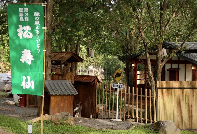 ที่พักเขาใหญ่น้องหมาพักได้