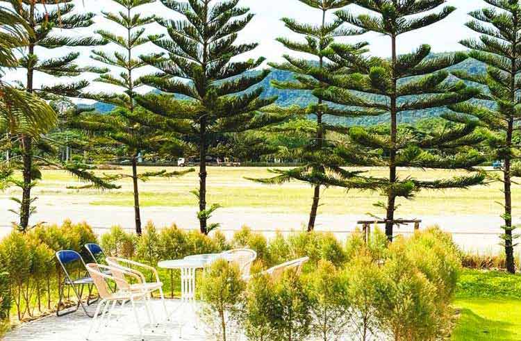 ที่พักเขาใหญ่น้องหมาพักได้