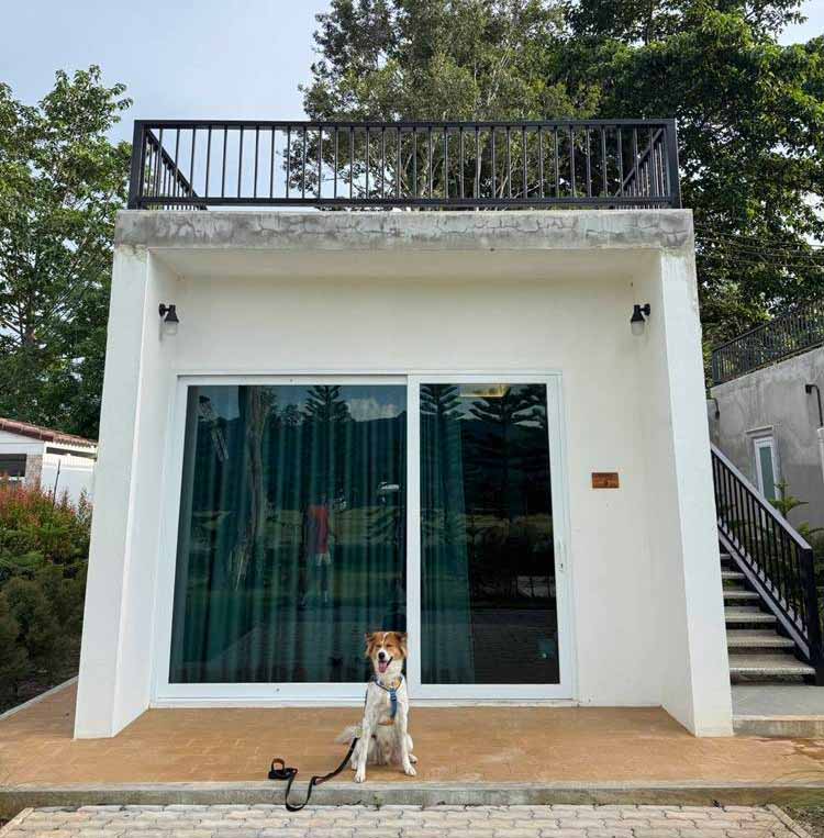 ที่พักเขาใหญ่น้องหมาพักได้