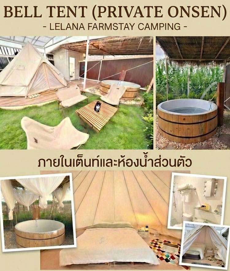เขาใหญ่น้องหมาพักได้