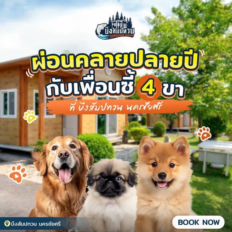 ที่พักนครชัยศรีหมาพักได้