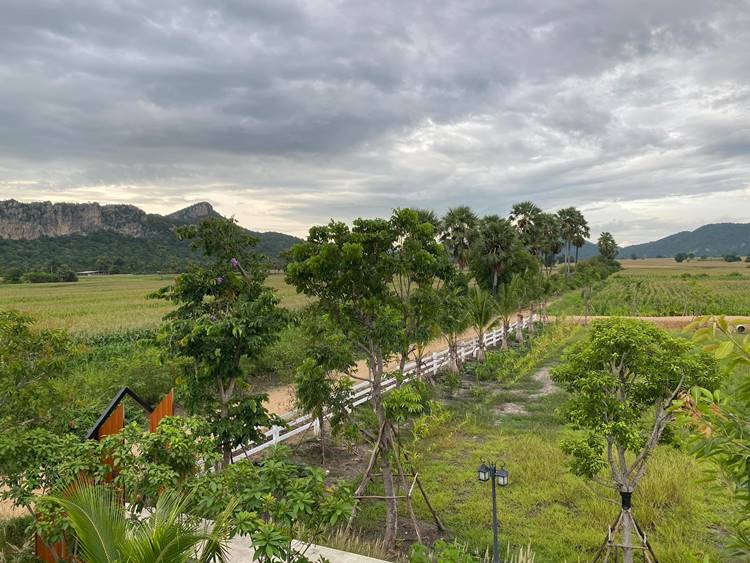 ที่พักตากฟ้านครสวรรค์หมาพักได้