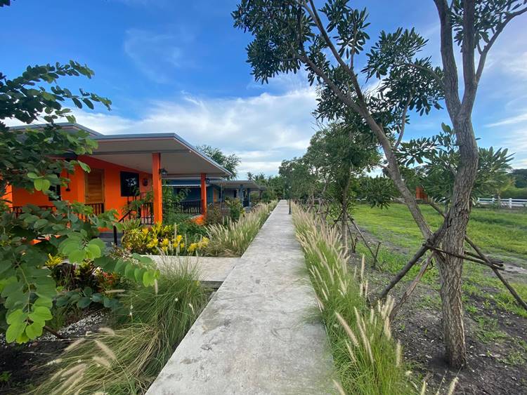 ที่พักตากฟ้านครสวรรค์หมาพักได้