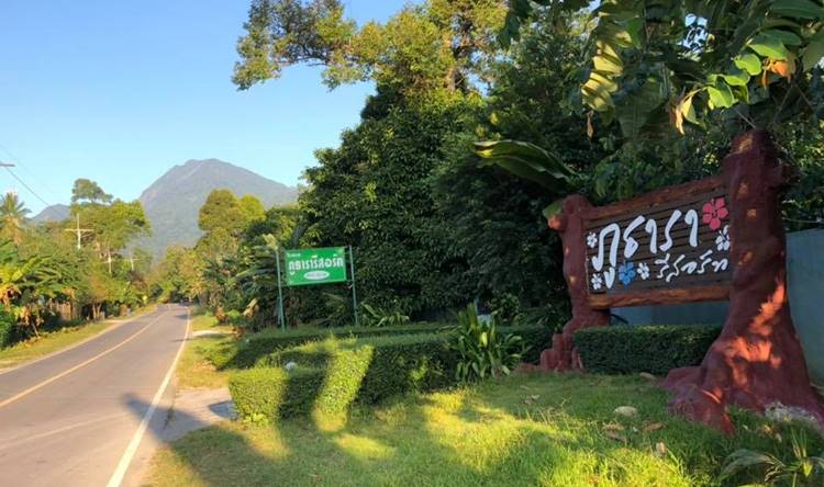 เที่ยวนครศรีน้องหมาพักได้