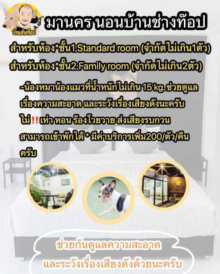 ที่พักนครศรีตัวเมืองหมาพักได้