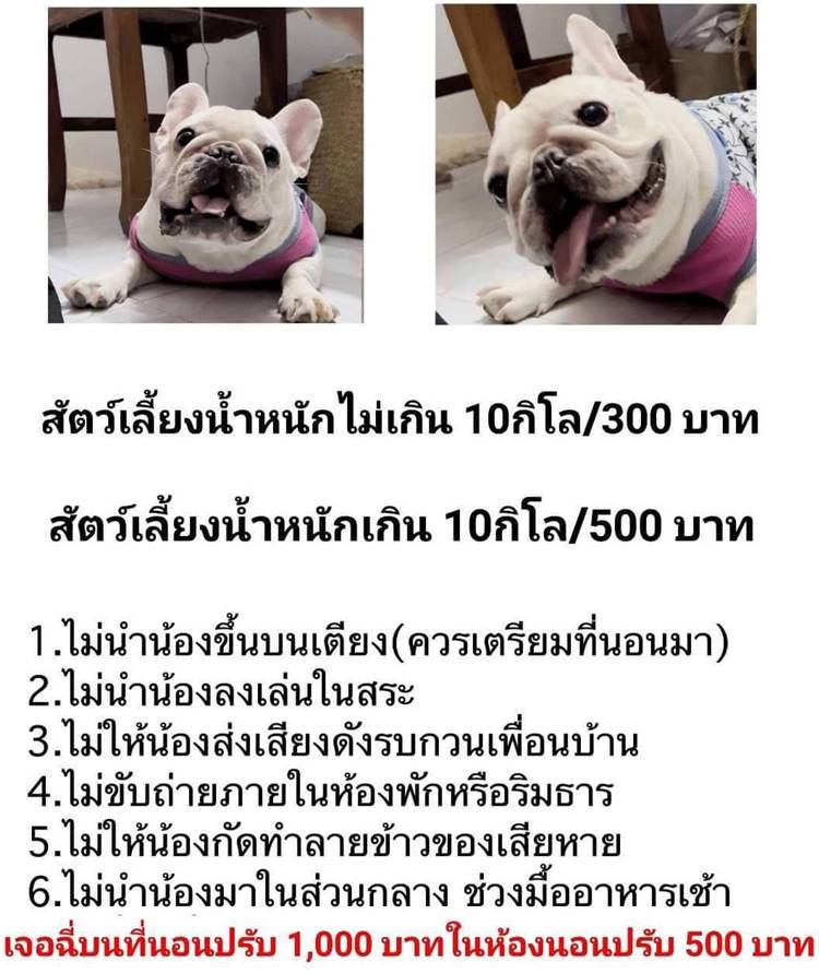 ที่พักนครนายกน้องหมาพักได้