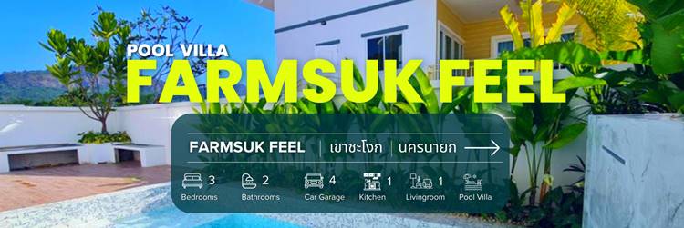 นครนายกน้องหมาพักได้