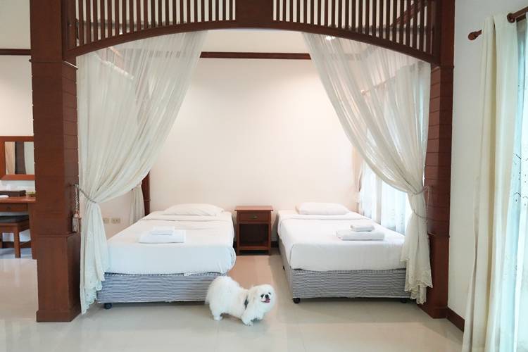 ที่พักนครนายกน้องหมาพักได้