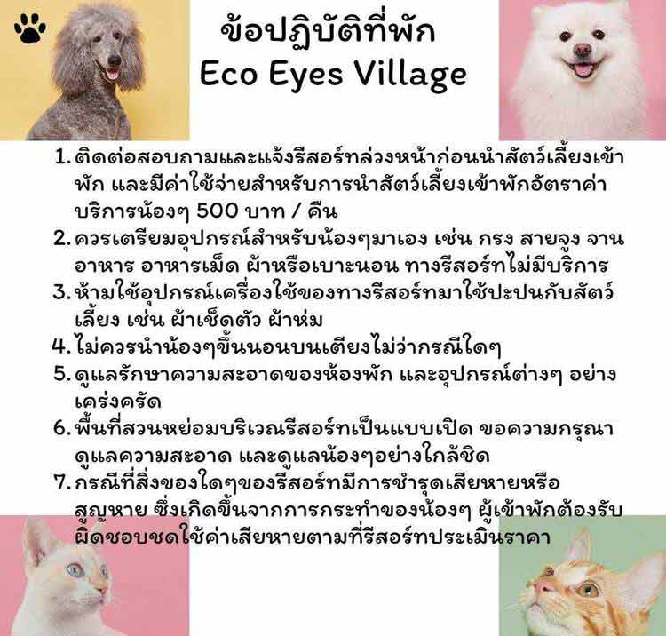นครนายกน้องหมาพักได้