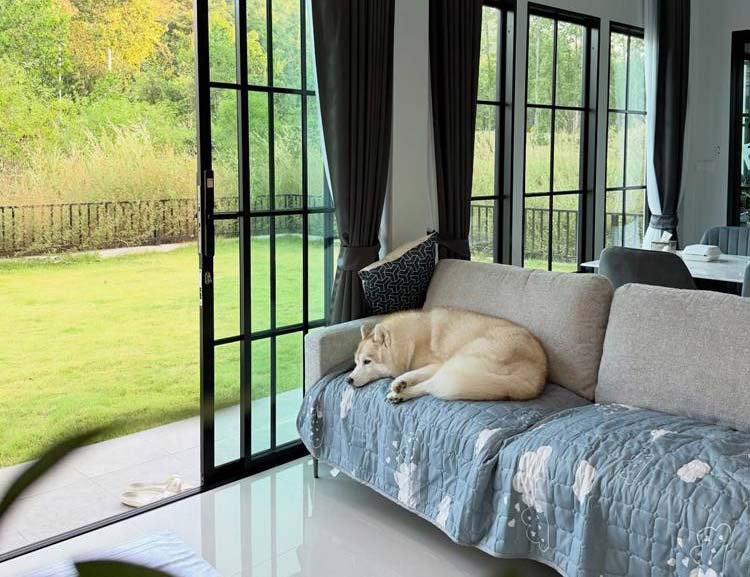 ที่พักนครนายกน้องหมาพักได้