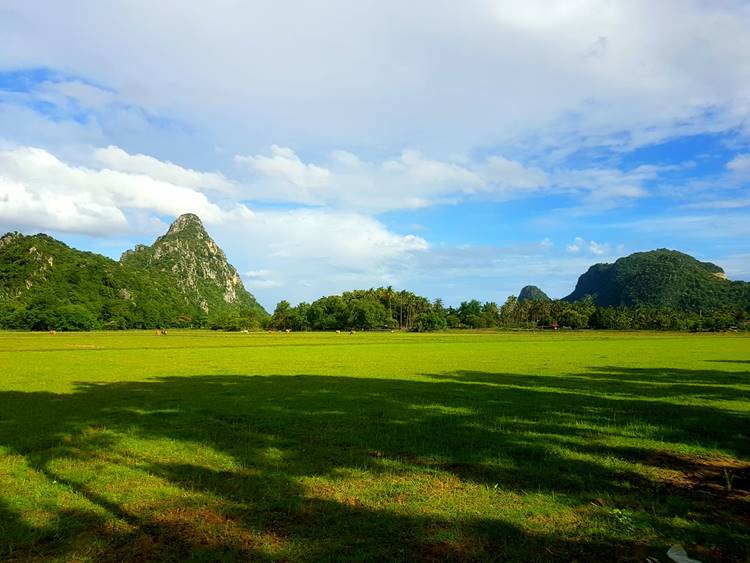ที่พักเพชรบุรีน้องหมาพักได้