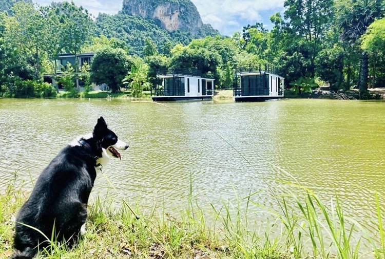 ที่พักเพชรบุรีน้องหมาพักได้
