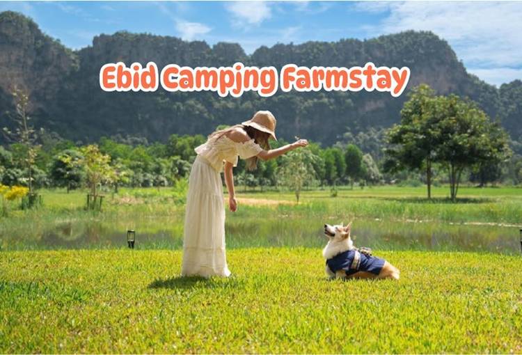 ที่พักเพชรบุรีน้องหมาพักได้