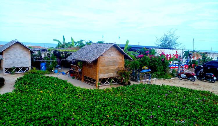 เพชรบุรีน้องหมาพักได้