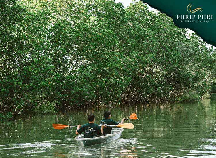 ที่พักพูลวิลล่าเพชรบุรีน้องหมาพักได้