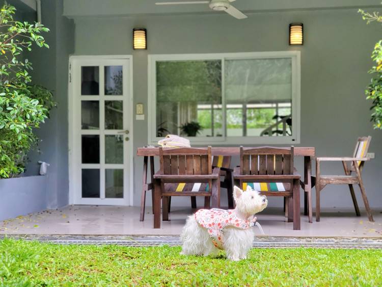 ที่พักเขาหลักพังงาน้องหมาพักได้