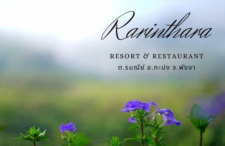 พังงาน้องหมาพักได้