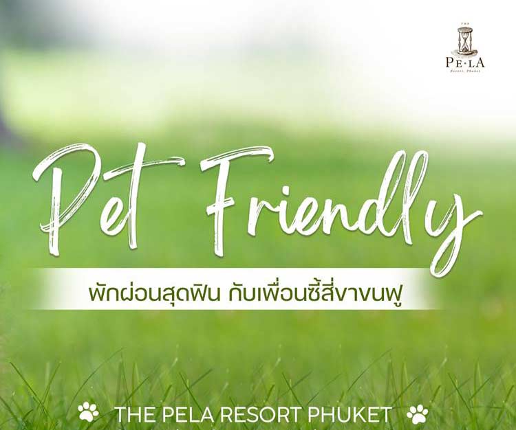 ที่พักหาดกมลาหมาพักได้