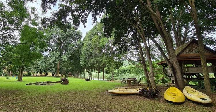 ที่พักป่าละอูหัวหินหมาพักได้