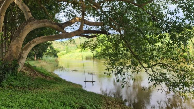 ที่พักป่าละอูหัวหินหมาพักได้