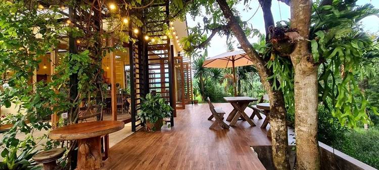 ที่พักป่าละอูหัวหินหมาพักได้
