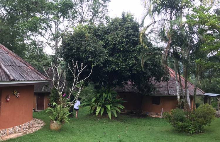 ที่พักป่าละอูหัวหินน้องหมาพักได้