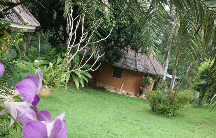 ที่พักป่าละอูหัวหินน้องหมาพักได้