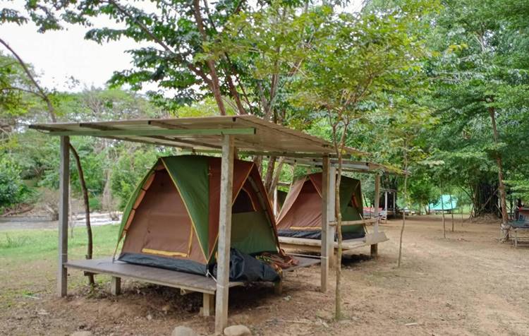ที่พักป่าละอูหัวหินน้องหมาพักได้