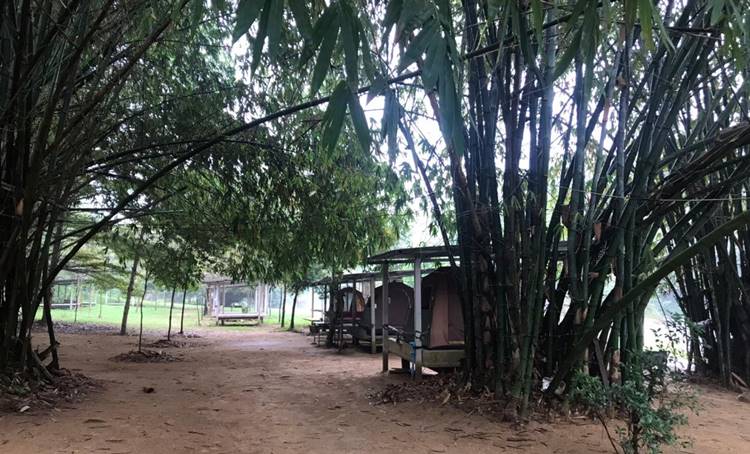ที่พักป่าละอูหัวหินน้องหมาพักได้
