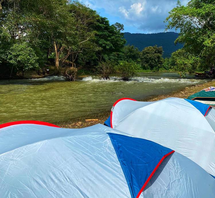 ที่พักป่าละอูหัวหินน้องหมาพักได้