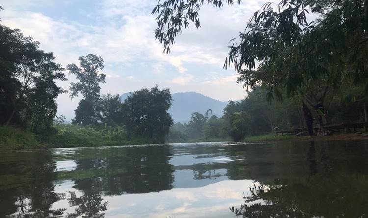 ที่พักป่าละอูหัวหินน้องหมาพักได้